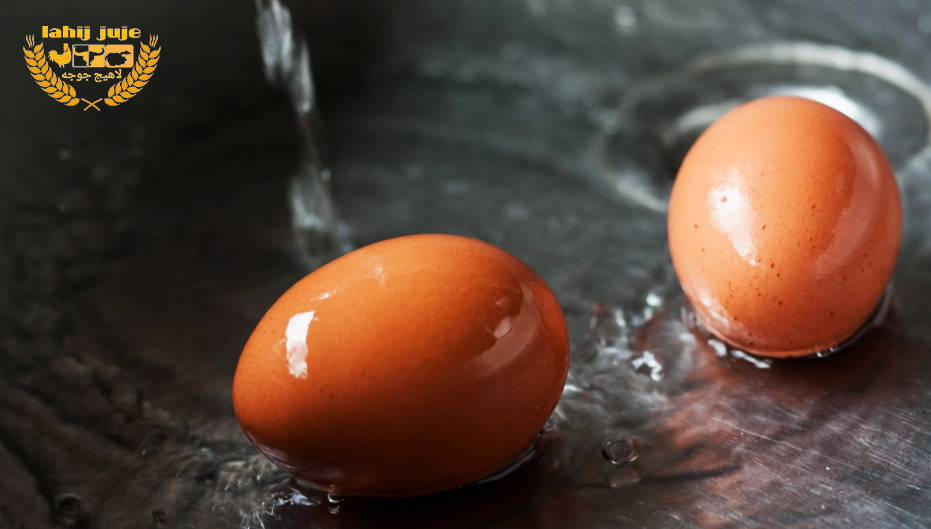 آلودگی تخم مرغ و شرایط نامناسب بهداشتی آن